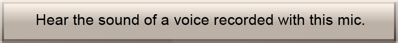 Voice button